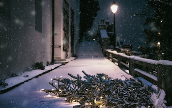 Tipping Through the Holidays: A Practical Guide